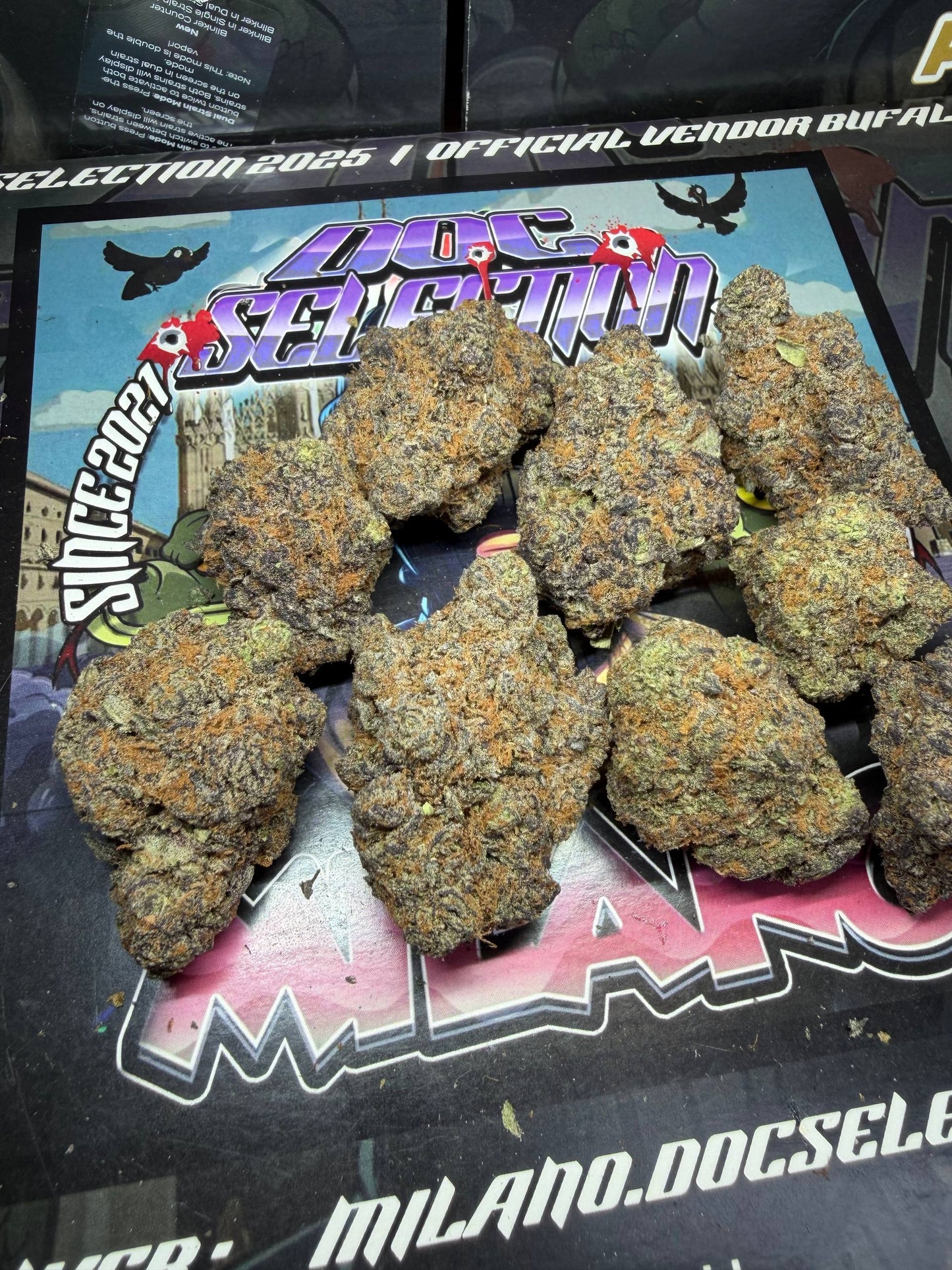 Cali usa Medium shelf - CANDY PAINT