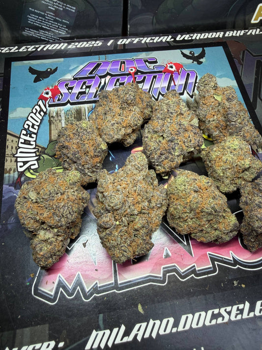 Cali usa Medium shelf - CANDY PAINT
