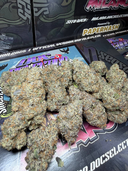 Cali Doc Grow ITA - SUPER BOOF x CHERRY JUICE
