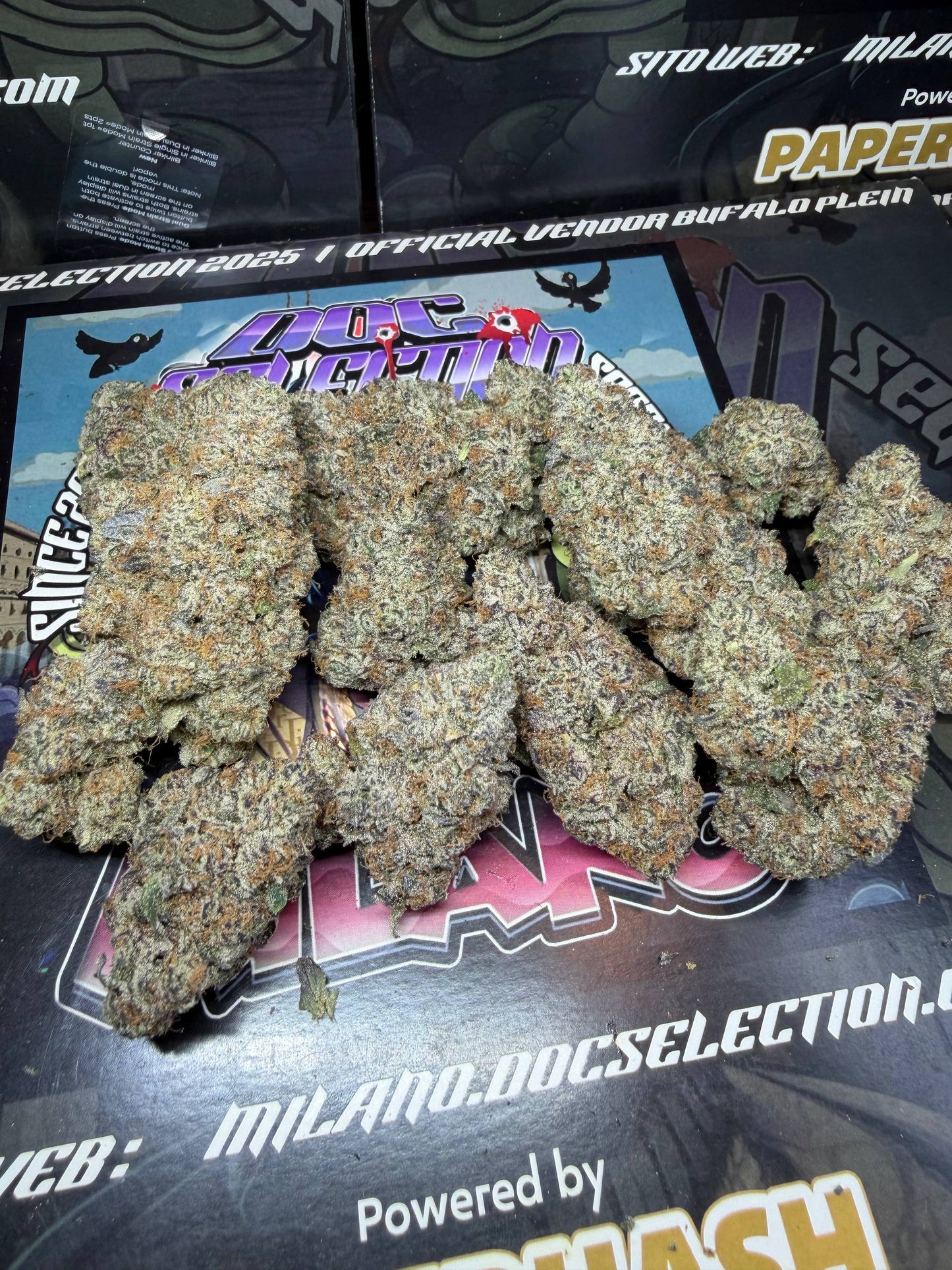 Cali Doc Grow ITA - SUPER BOOF x CHERRY JUICE