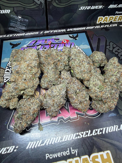 Cali Doc Grow ITA - SUPER BOOF x CHERRY JUICE